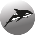 Orca Logotyp